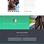Aldo Camp - About Page